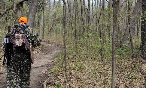 Camouflaged turkey hunter carrying a shotgun, decoys, and a folded Swamp Stick through the woods.