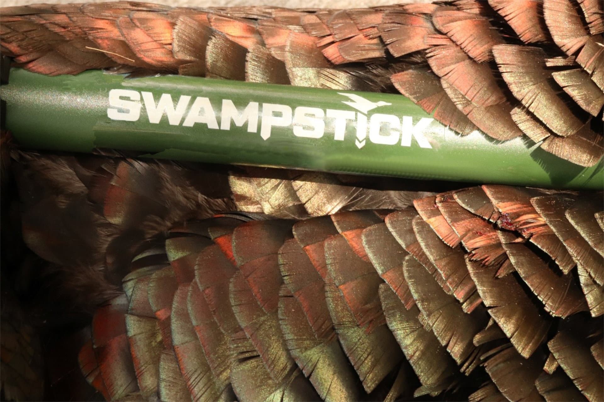 Close-up of the Swamp Stick logo on a green shooting stick resting across iridescent turkey feathers.